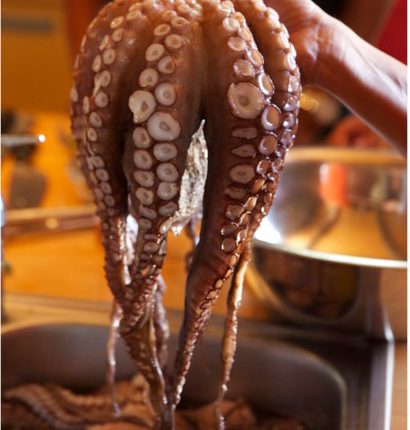Octopus ready to cook