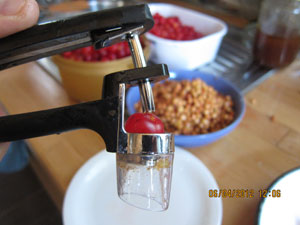 Pitting cherries for sour cherry spoon sweet