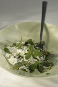 Greek yogurt and greens offer an endless variety of dinner ideas.
