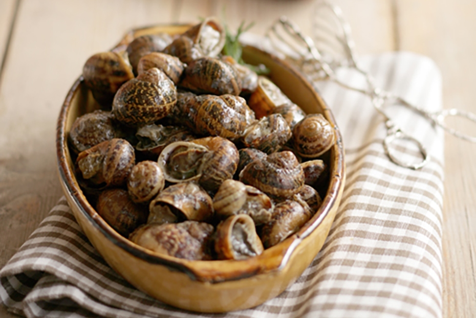 Snails