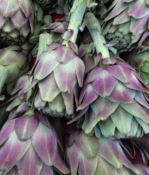 Artichokes in Greek recipes and Greek cooking are important.