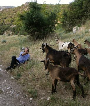 Goats in Greece