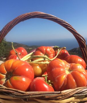 Heirloom tomatoes from our Greek garden