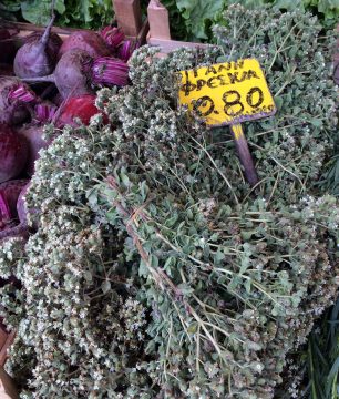 oregano dried in Greece