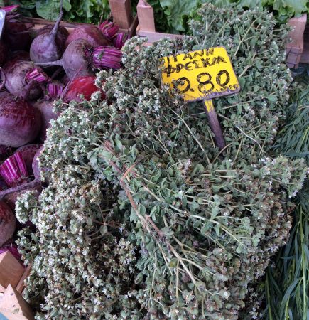 oregano dried in Greece