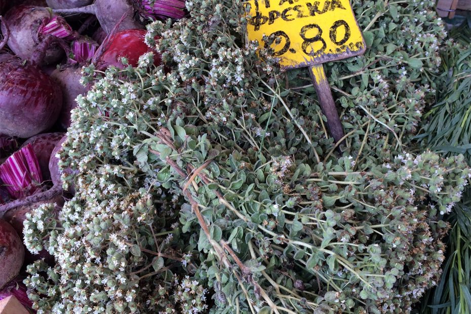 oregano dried in Greece