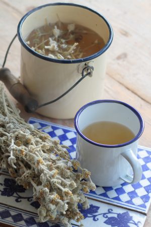 Ikaria mountain tea