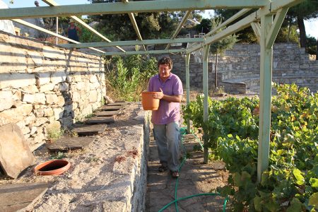 Nikos carries the m ust to a larger clay amphorae.