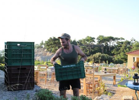 Grapes arrive for pressing! 