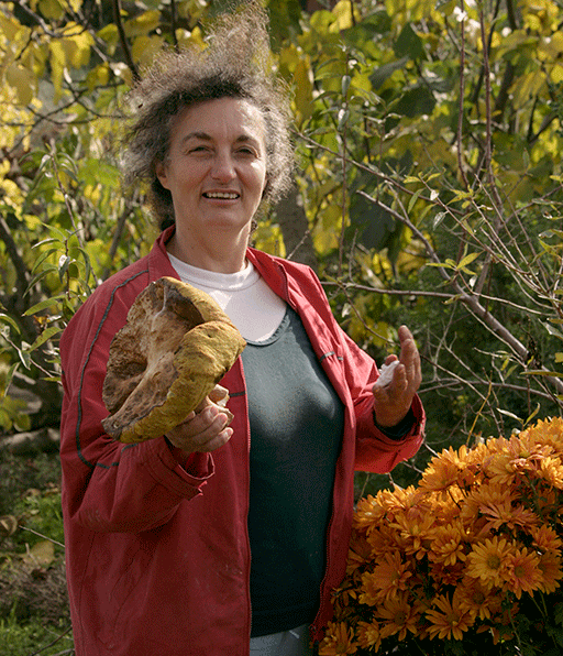 Argyro-with-wild-huge-mushroom