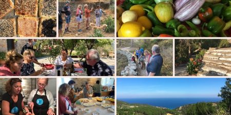 Ikaria Classes Gallery