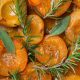 Roasted Apricots