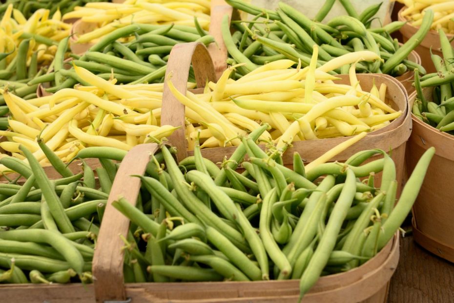 Green Beans Bring Greek Summer to Salads, Stews, and More