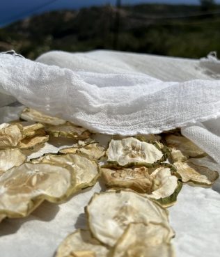 Ikaria Longevity Sun-Dried Cucumber Chips with Sea Salt and  Spices