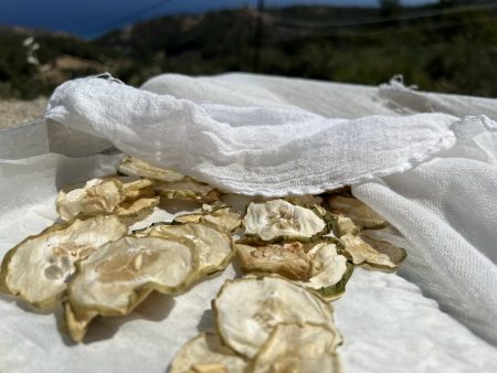 Ikaria Longevity Sun-Dried Cucumber Chips with Sea Salt and Spices