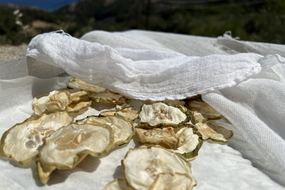 Ikaria Longevity Sun-Dried Cucumber Chips with Sea Salt and Spices