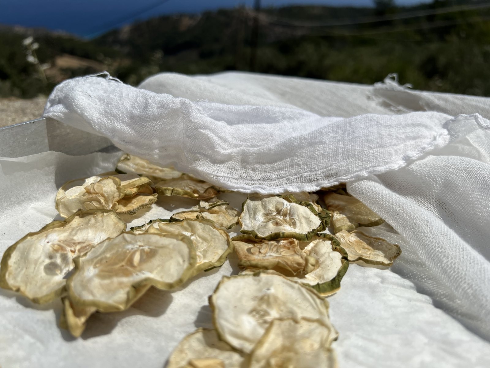 Ikaria Longevity Sun-Dried Cucumber Chips with Sea Salt and Spices-image