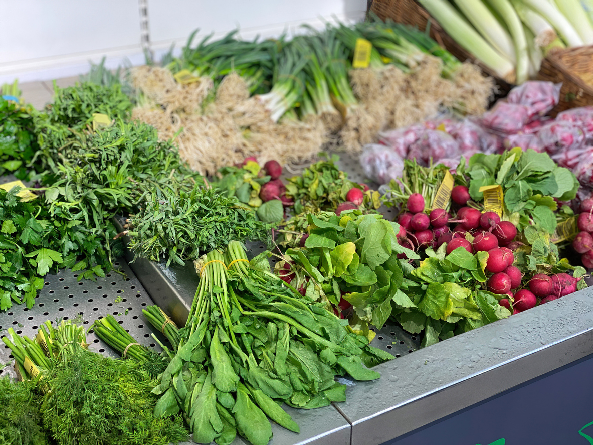 The Power of Plant-Based Diet: Ikarian Longevity and Fresh Vegetables