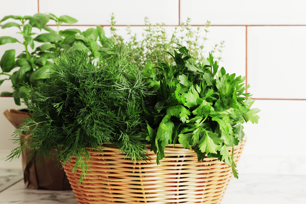 Ingredients in Spanakopita: Herbs