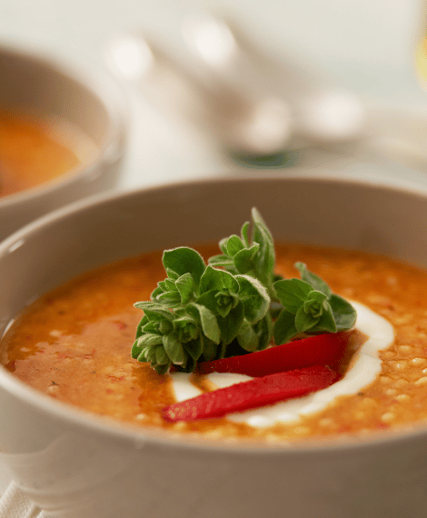 506_Gut Feeling_ Probiotics to Love