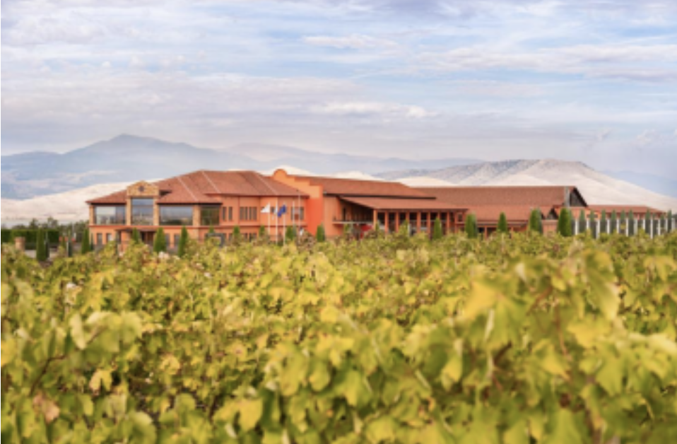 Alpha Estate Malagouzia “Turtles” Single Vineyard (PGI Florina – ΠΓΕ Φλώρινα)