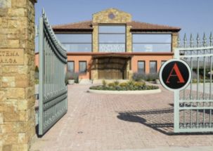 Northern Greek Wines for Spring