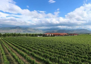 PDO Amyndeon & PGI Florina Wines for Summer